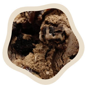 Chocolate Fudge Brownie