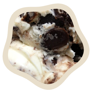 Moose Tracks